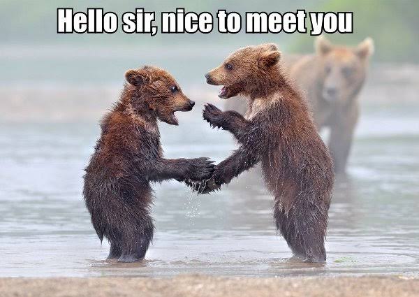 Pleased to meet you!!